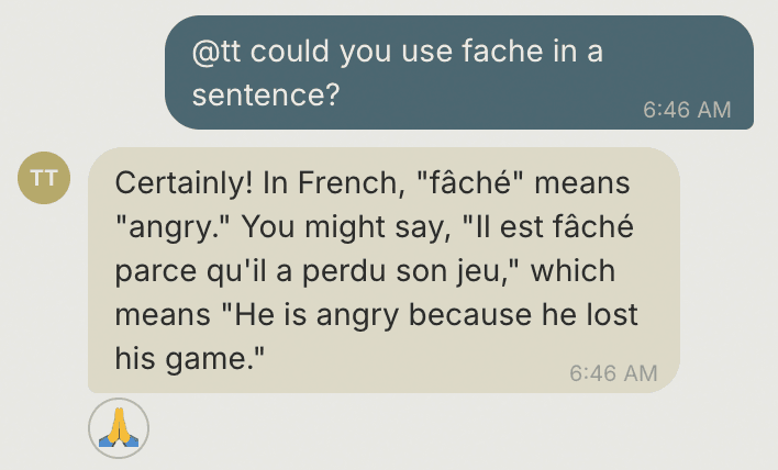 Chat panel showing a player asking @tt about a word and the bot's reply.
