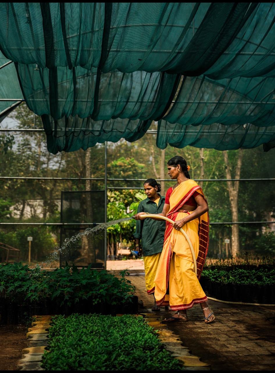 Two women tending rows of seedlings under shade netting at the Green Sakthi nursery, one watering with a hose