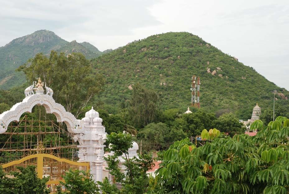 The same hillside years later, now densely green and forested, with a white temple gateway in the foreground